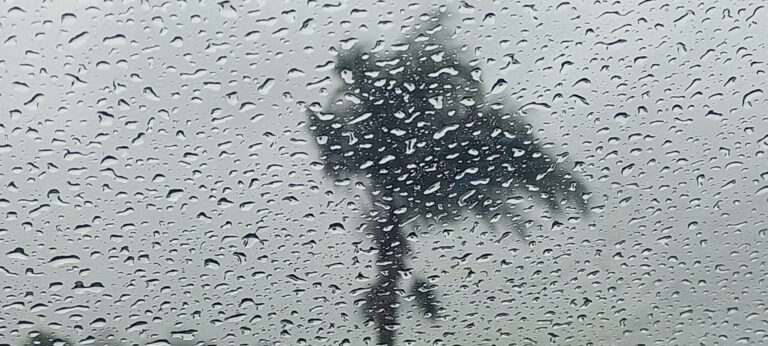temporal