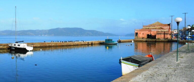 f48cbaa2-e412-4ab6-bf39-e05d706d7bc2