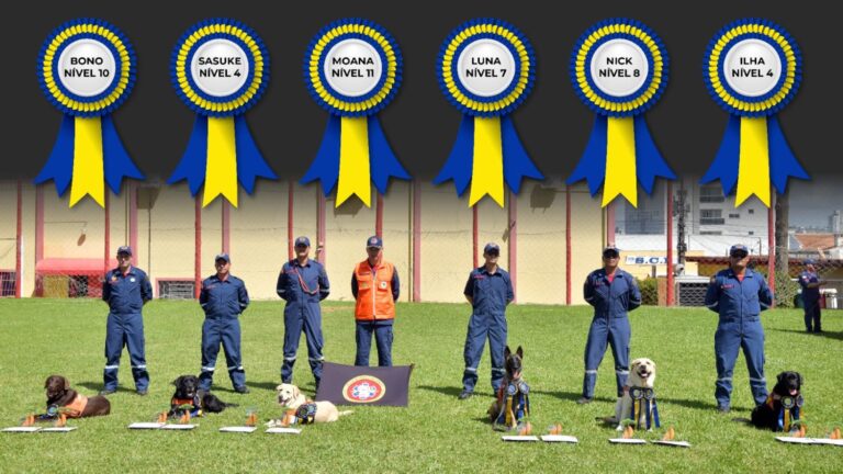 WhatsApp-Image-2026-02-09-at-10.19