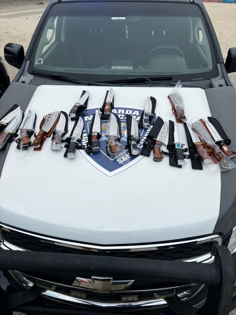 WhatsApp-Image-2026-02-13-at-11.18