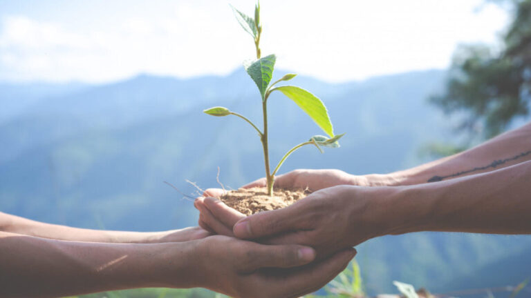 a9f8cd8b-3fb2-45a9-b2a6-e6108ede5d5c