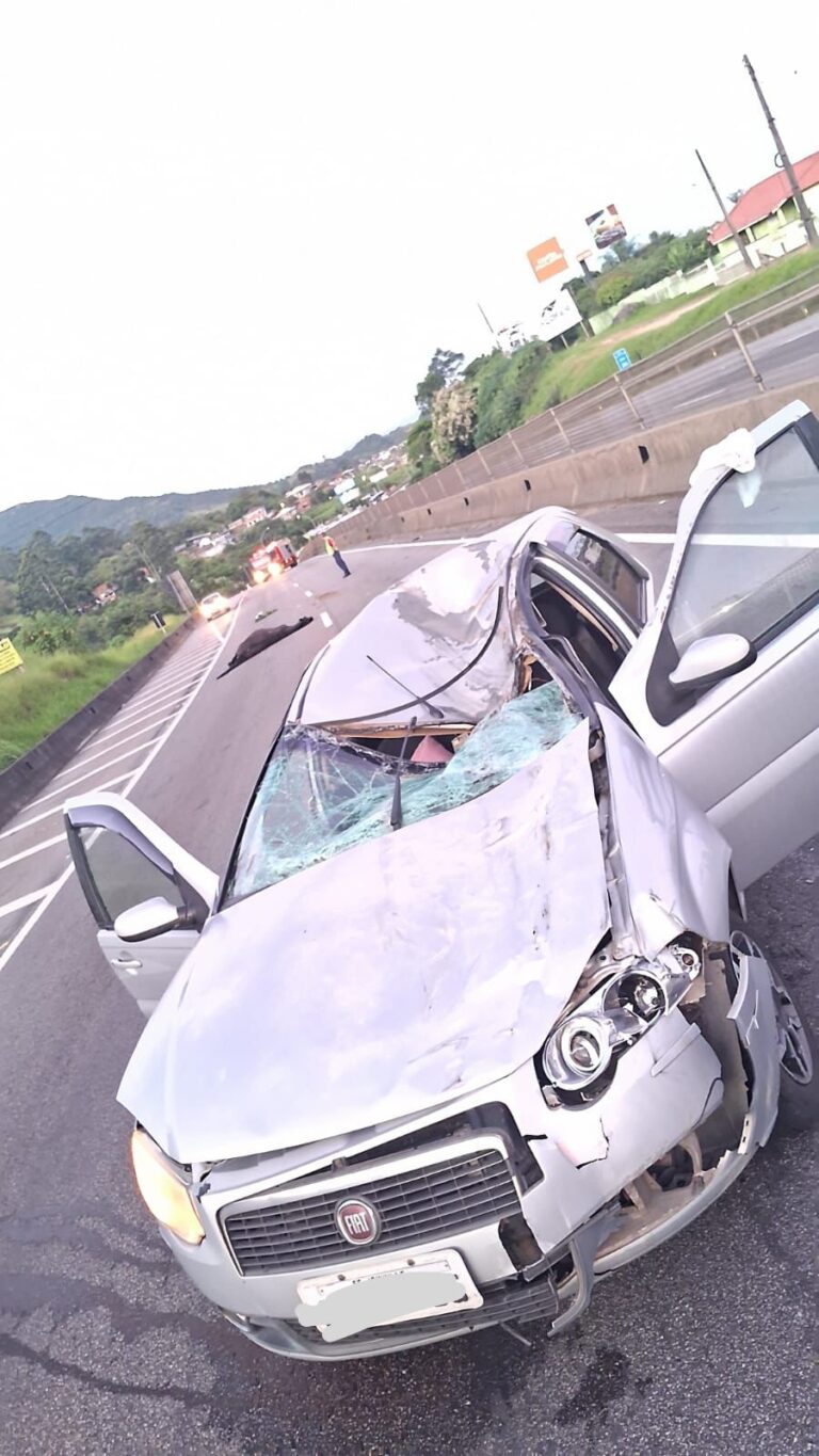 e316cb9f-9e29-45f9-94d2-1c4cfe5779f6