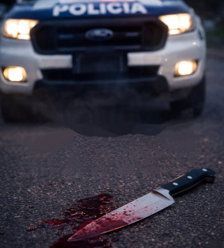 033df306-bc07-483c-96b7-3fcc44e5ed27 (1)