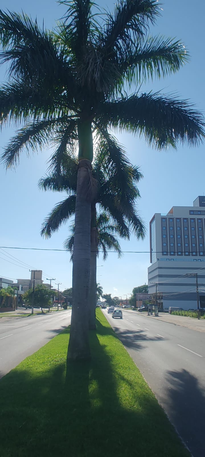 768e0c6b-9791-4e97-a20f-536108a16018