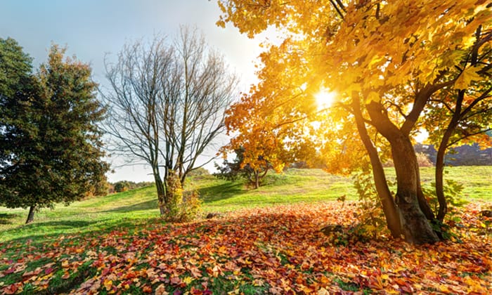 b3ae24be-d3cd-4b09-8139-51154387693e