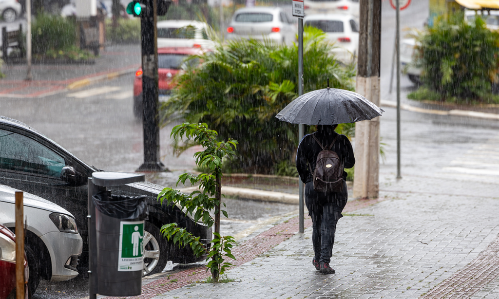 Defesa Civil SC - Temperaturas altas e temporais isolados marcam a ...