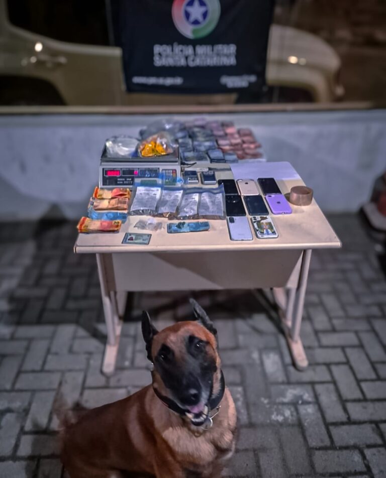 d0fb8fa6-91f0-47fc-b9eb-7c8e5cd87f67