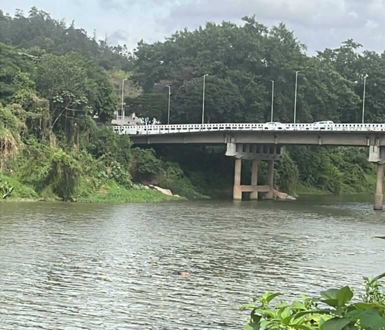 41545f71-f2b5-443f-9bd6-8beb672073fe