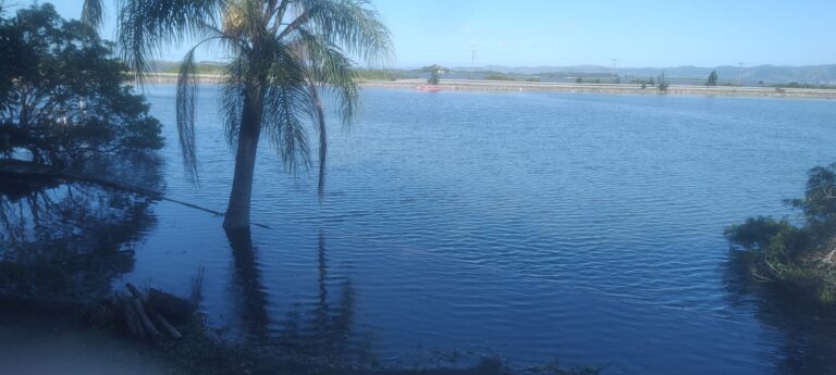 74ac3185-f5c9-4990-a1e2-9ea99c4f940b