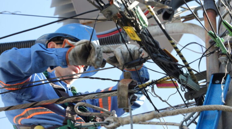 IMG_2270-1024x575-1-800x445